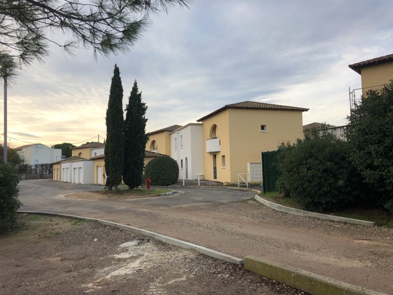 IMG_3856
